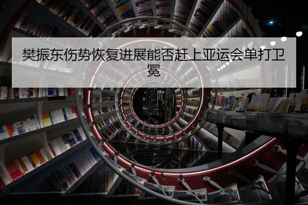 樊振东伤势恢复进展能否赶上亚运会单打卫冕